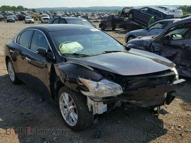Photo 1N4AA5AP0AC807800 - NISSAN MAXIMA 2010