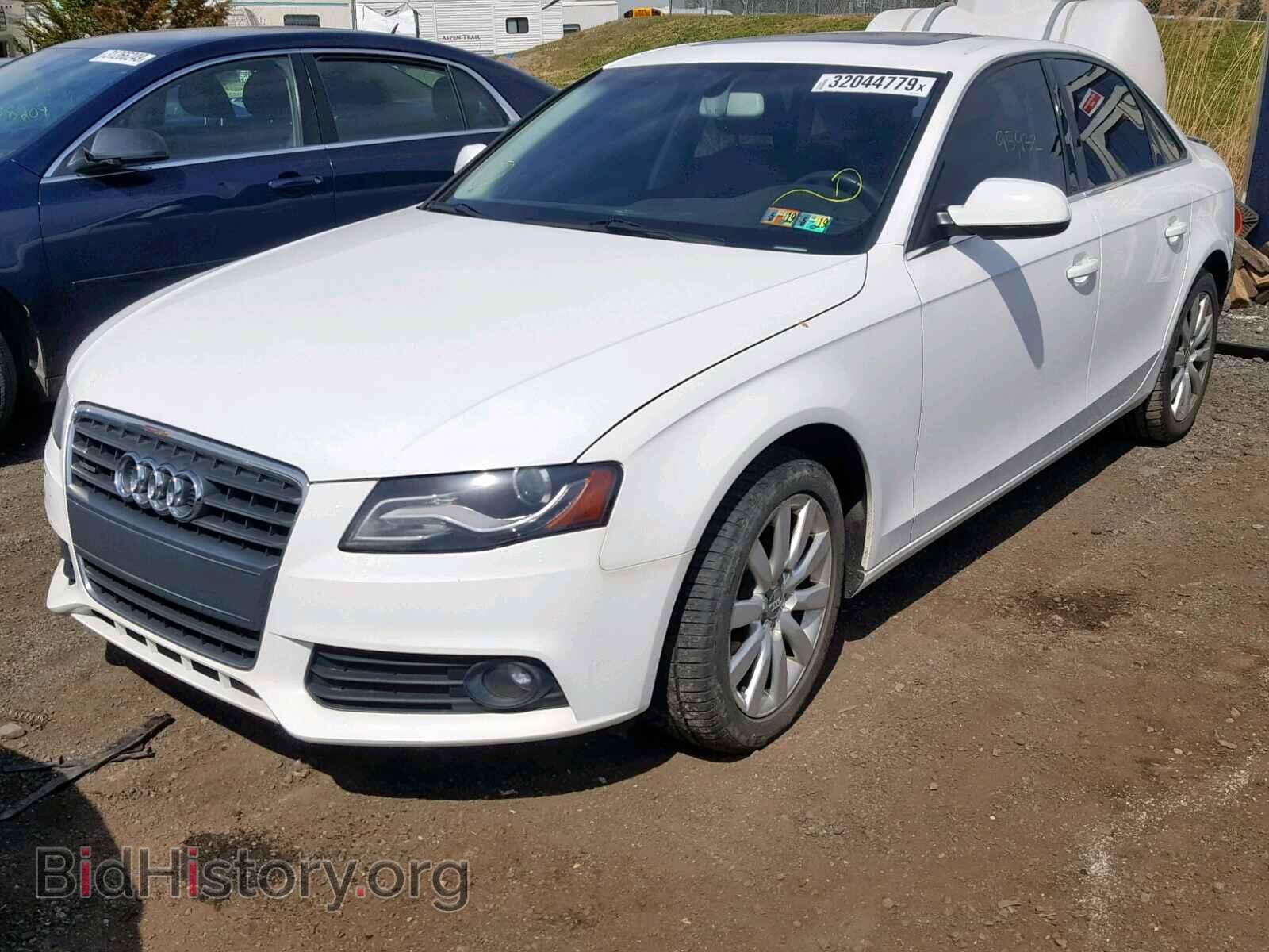 2010 AUDI A4 - VIN: WAUFFAFL7AN062044 - Фото 2