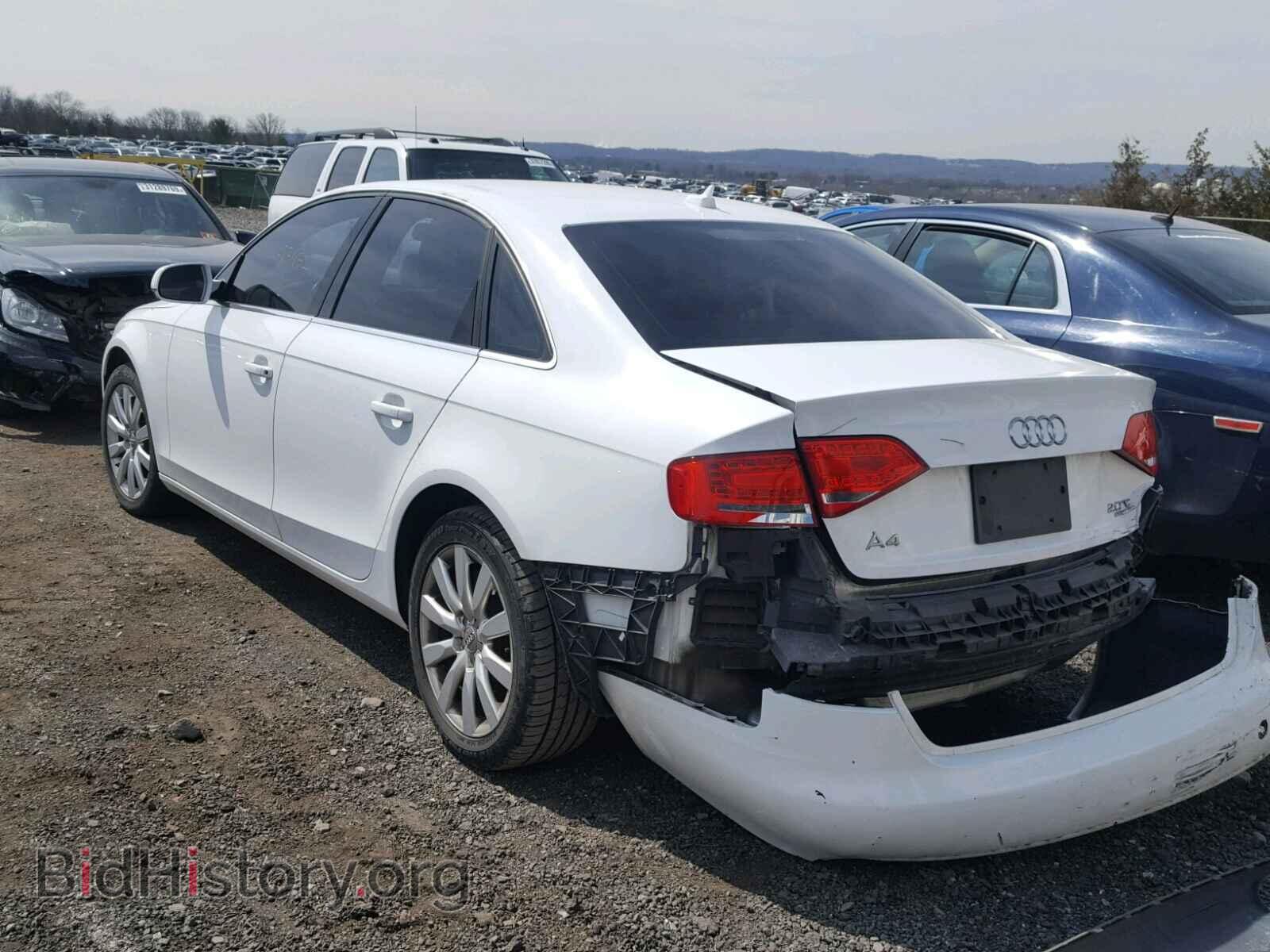 2010 AUDI A4 - VIN: WAUFFAFL7AN062044 - Фото 3