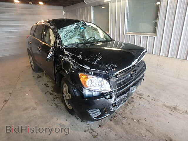 Фотография 2T3BF4DV5CW257840 - TOYOTA RAV4 2012