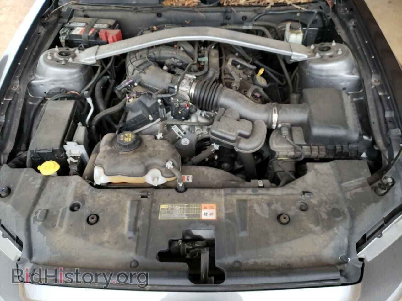 2014 FORD MUSTANG - VIN: 1ZVBP8EM2E5324542 - Фото 7