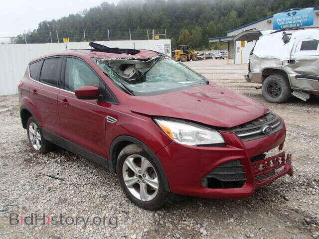 Photo 1FMCU9G97DUD35311 - FORD ESCAPE 2013