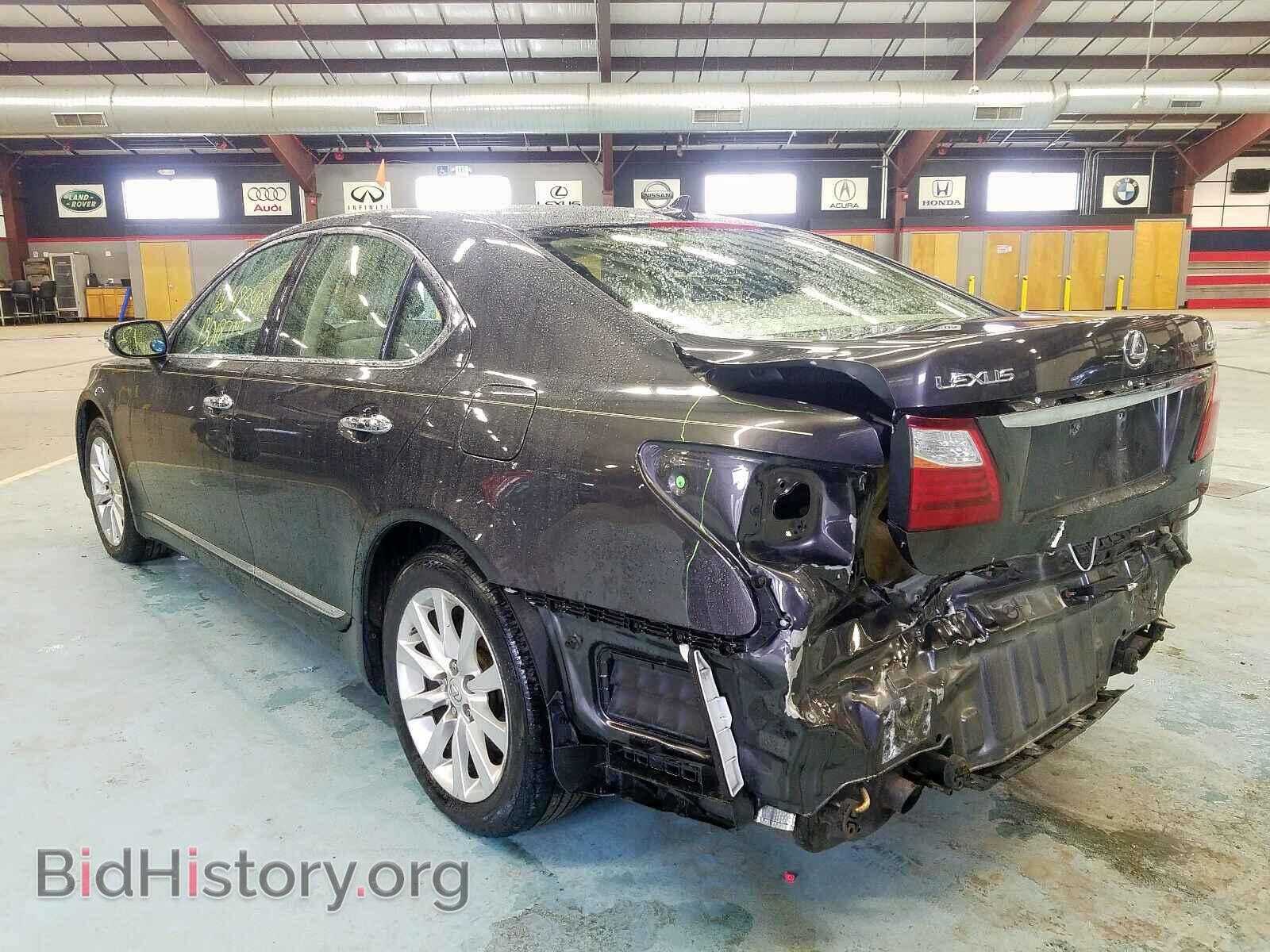2010 LEXUS LS460 - VIN: JTHCL5EF9A5008552 - Фото 3