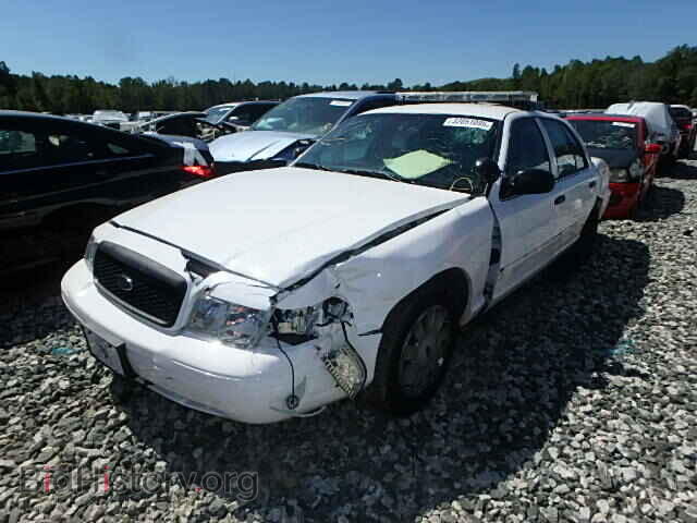 2011 FORD CROWN VIC - VIN: 2FABP7BV4BX181183 - Фото 2