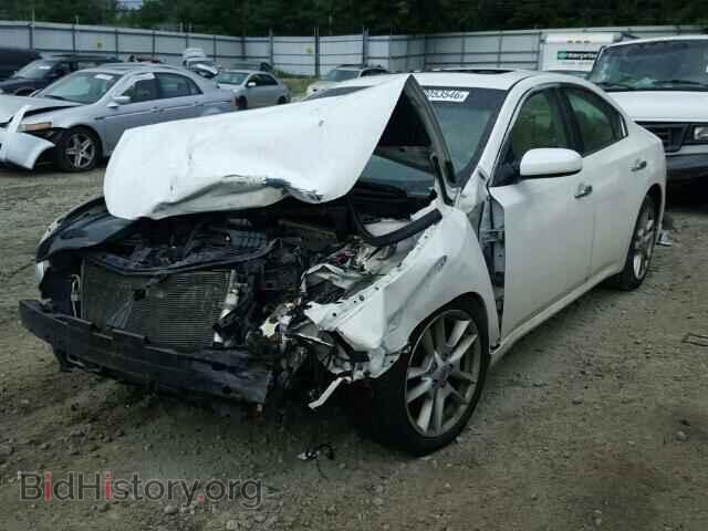 2009 NISSAN MAXIMA - VIN: 1N4AA51E99C822726 - Фото 2