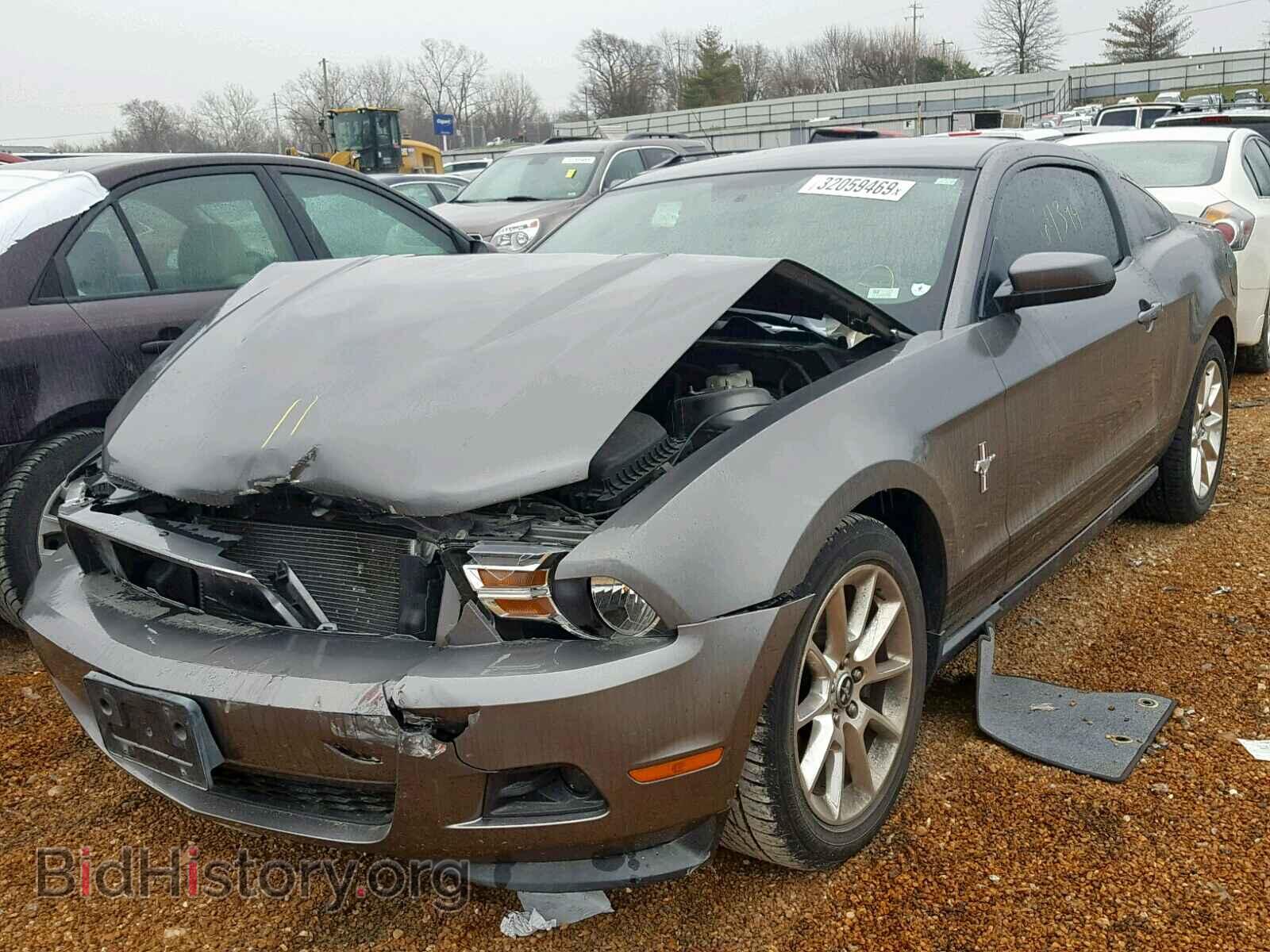 2011 FORD MUSTANG - VIN: 1ZVBP8AM0B5131596 - Фото 2