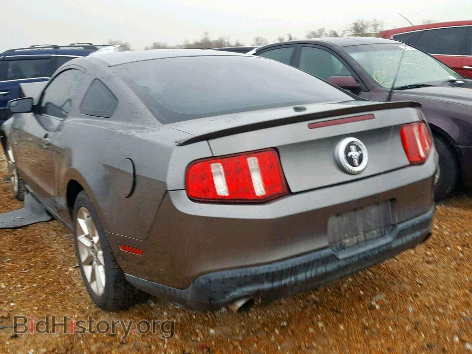 2011 FORD MUSTANG - VIN: 1ZVBP8AM0B5131596 - Фото 3
