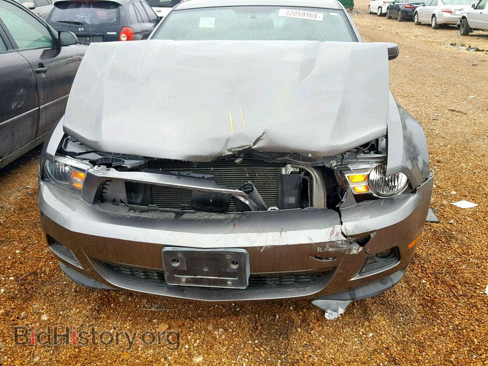 2011 FORD MUSTANG - VIN: 1ZVBP8AM0B5131596 - Фото 9