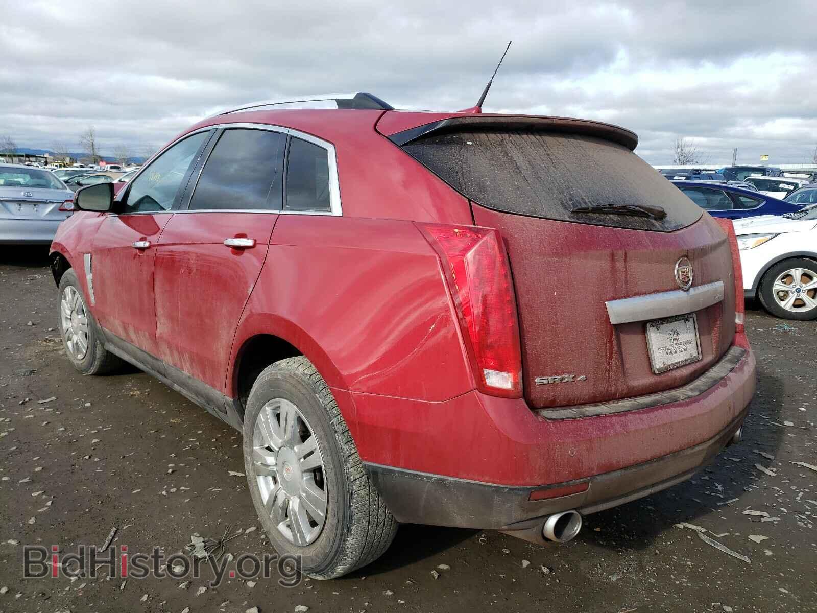 2010 CADILLAC SRX - VIN: 3GYFNDEY2AS608141 - Фото 3