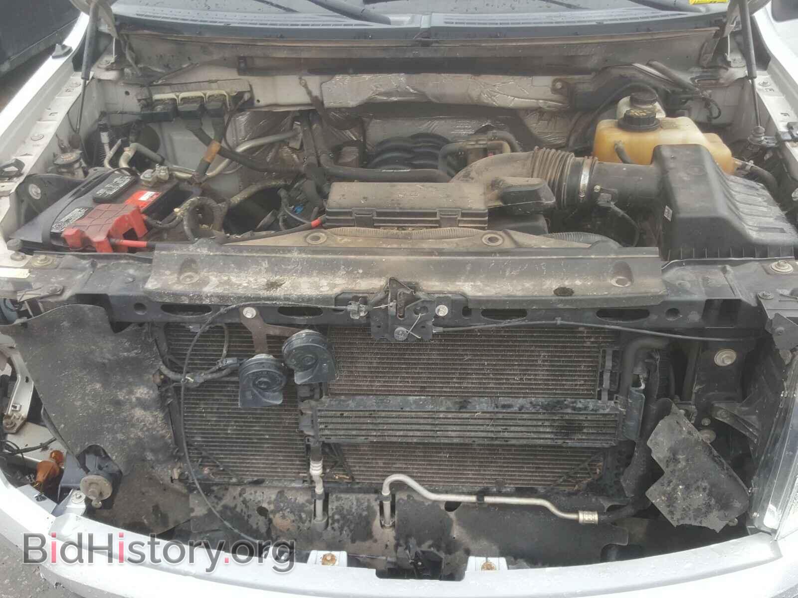 2013 FORD F150 - VIN: 1FTFW1EFXDFD52145 - Фото 7
