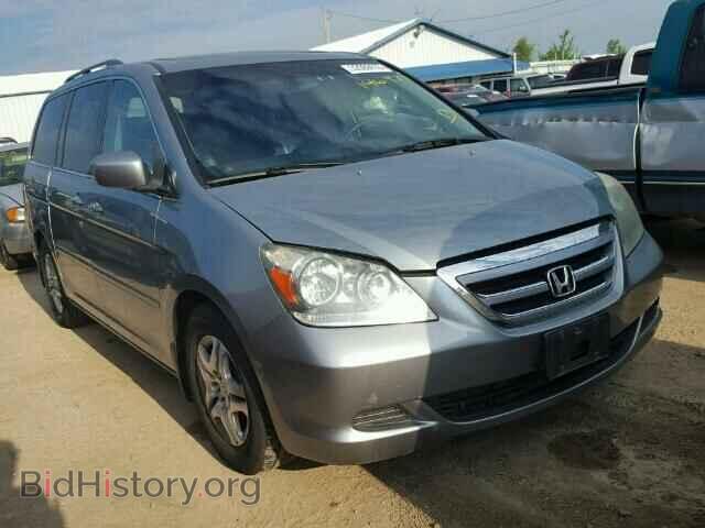 Photo 5FNRL38755B108317 - HONDA ODYSSEY 2005
