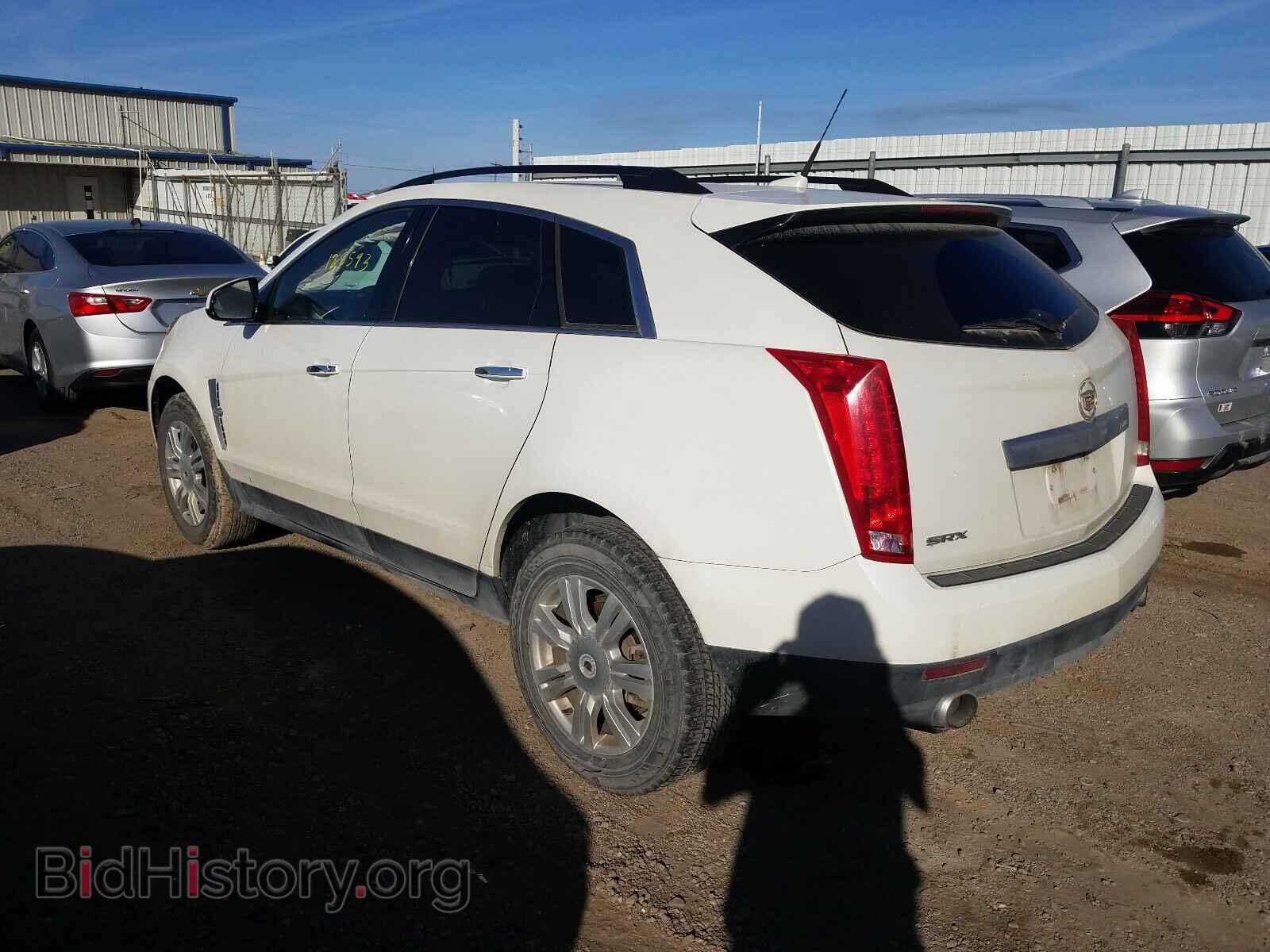 2010 CADILLAC SRX - VIN: 3GYFNGEY3AS634040 - Фото 3