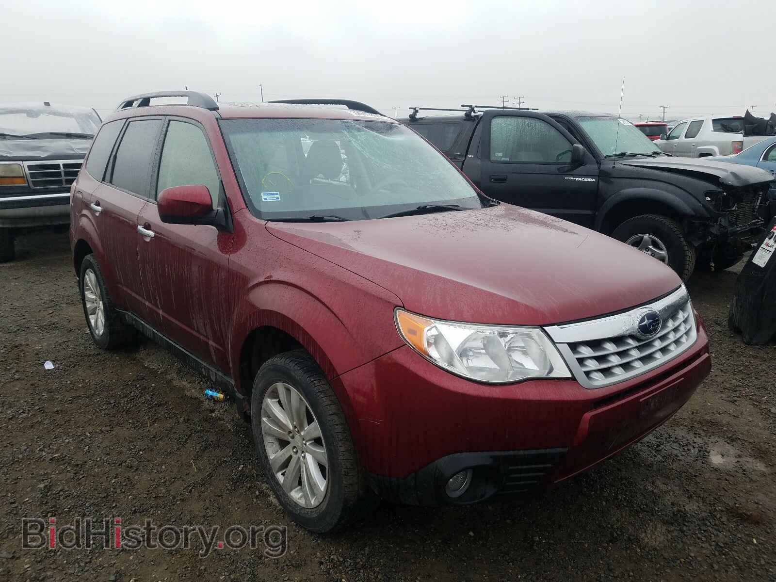 Фотография JF2SHADC8DH446739 - SUBARU FORESTER 2013