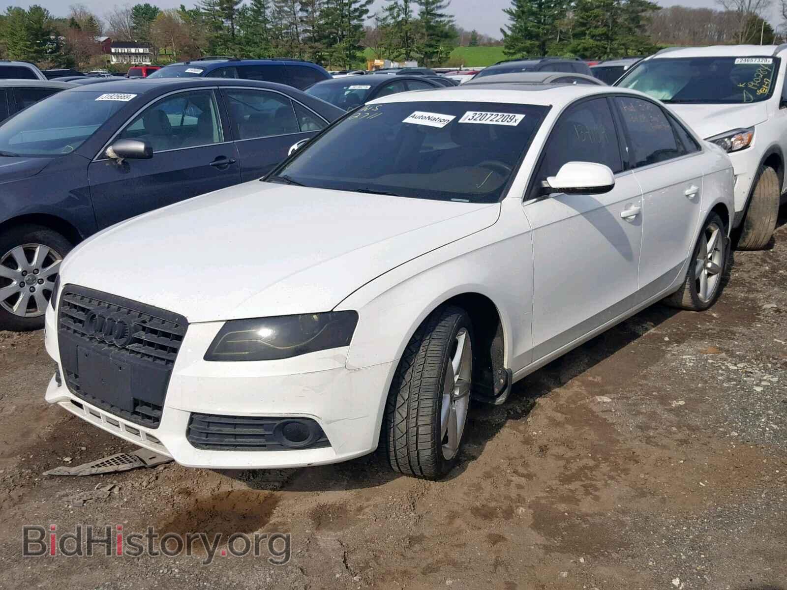 2010 AUDI A4 - VIN: WAUKFAFL4AN035267 - Фото 2