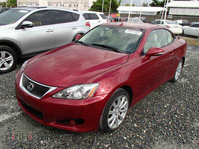 2010 LEXUS IS250 - VIN: JTHFF2C2XA2512547 - Фото 2