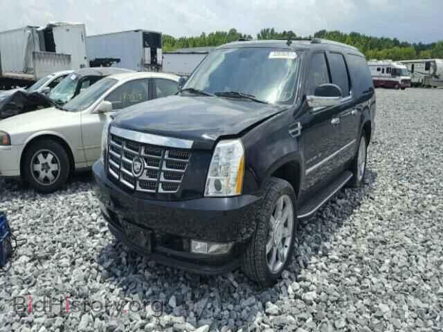 2011 CADILLAC ESCALADE - VIN: 1GYS4HEF2BR205742 - Фото 2