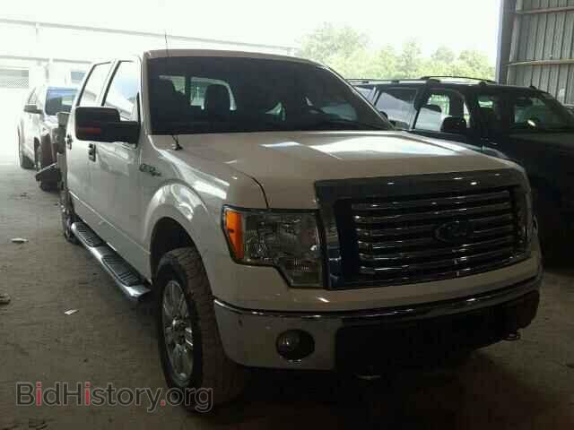 Фотография 1FTFW1EF9CKD10250 - FORD F150 2012