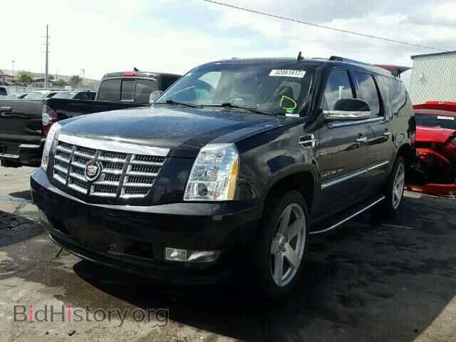 2011 CADILLAC ESCALADE - VIN: 1GYS4HEF8BR164176 - Фото 2
