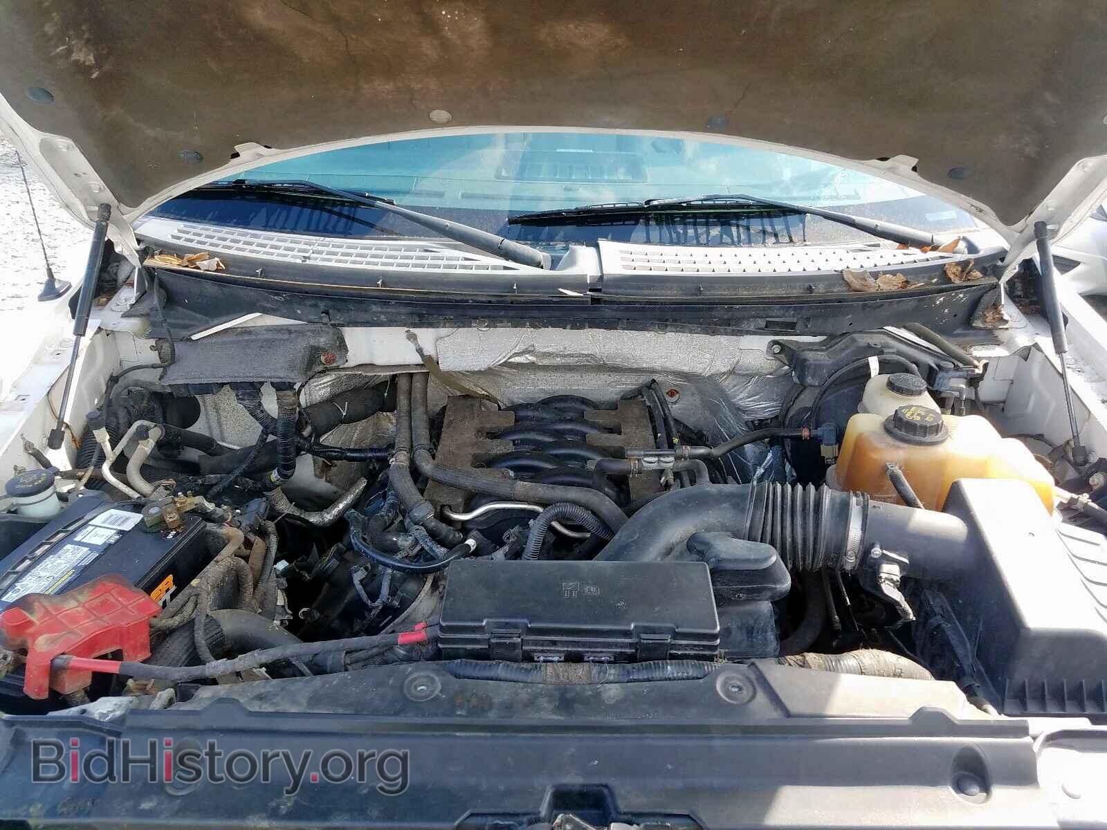2011 FORD F150 - VIN: 1FTFX1EF1BFA78411 - Фото 7