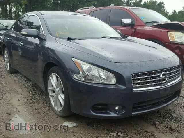 Photo 1N4AA5AP0AC802113 - NISSAN MAXIMA 2010