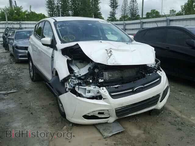 Photo 1FMCU0GX1EUC27861 - FORD ESCAPE 2014