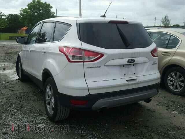 2014 FORD ESCAPE - VIN: 1FMCU0GX1EUC27861 - Photo 3