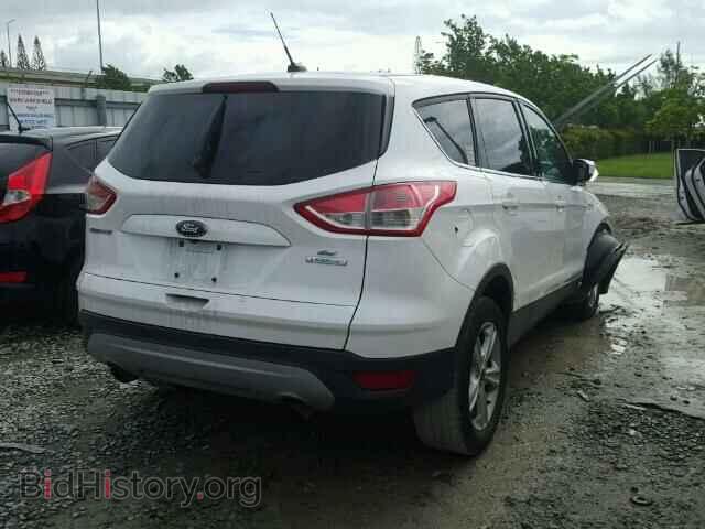 2014 FORD ESCAPE - VIN: 1FMCU0GX1EUC27861 - Photo 4