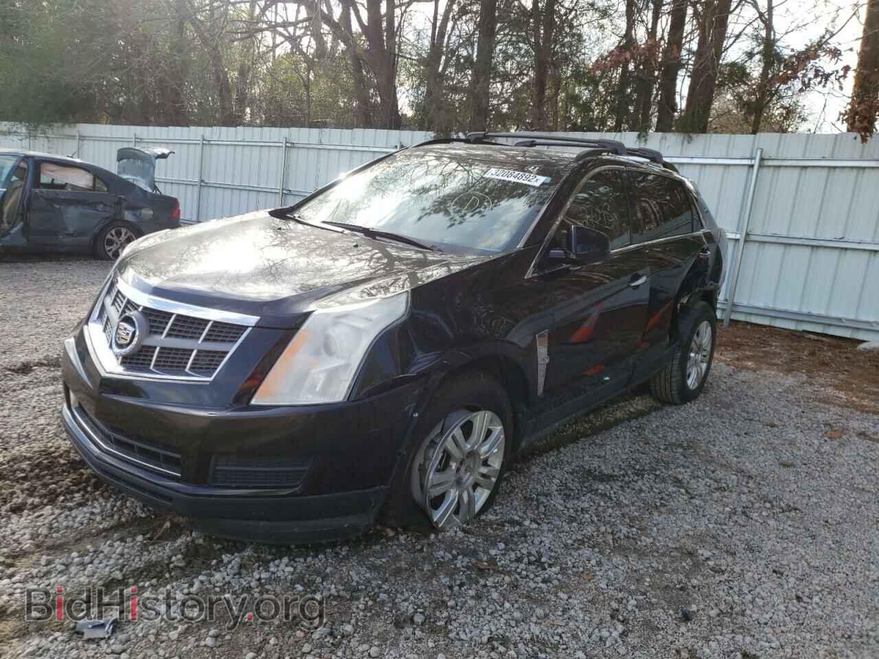 2012 CADILLAC SRX - VIN: 3GYFNGE34CS659617 - Фото 2