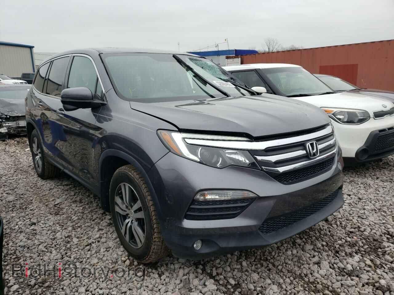 Photo 5FNYF5H59HB005676 - HONDA PILOT 2017