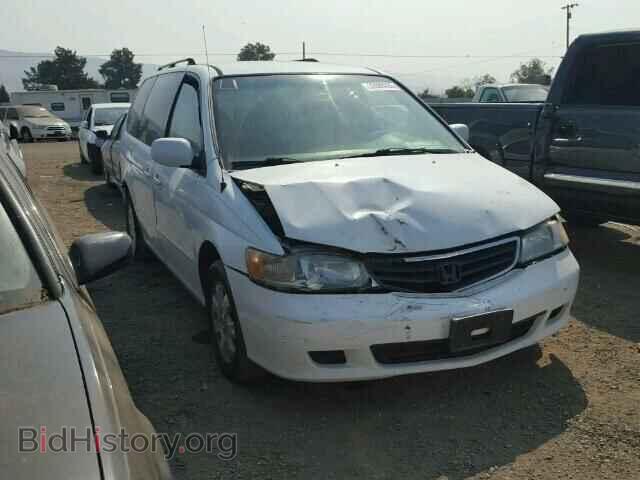 Photo 5FNRL18683B104805 - HONDA ODYSSEY 2003