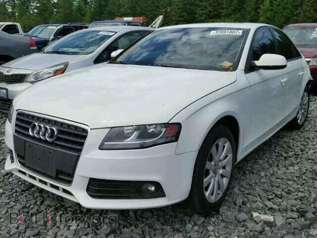 2012 AUDI A4 - VIN: WAUAFAFL1CN013225 - Фото 2