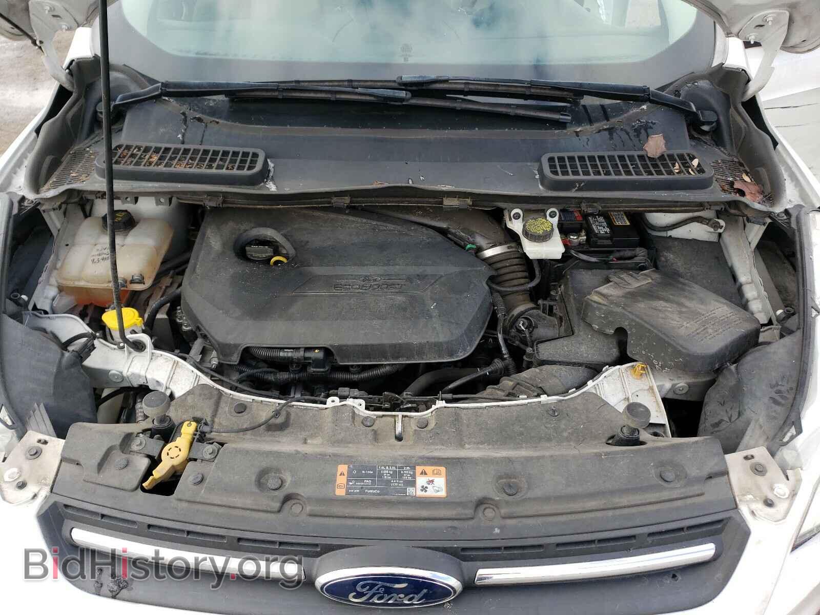 2014 FORD ESCAPE - VIN: 1FMCU0GX8EUE49748 - Фото 7