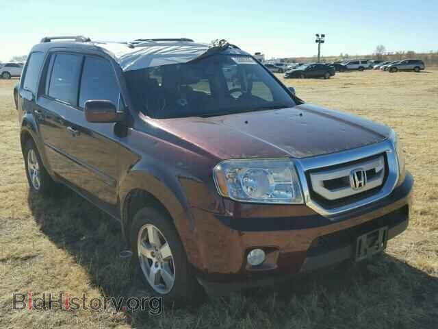 Фотография 5FNYF4H72BB004856 - HONDA PILOT 2011
