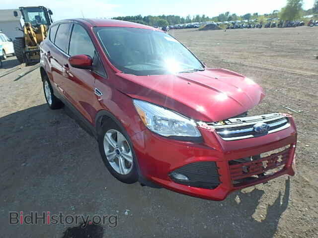 Фотография 1FMCU0GX2EUE23274 - FORD ESCAPE 2014