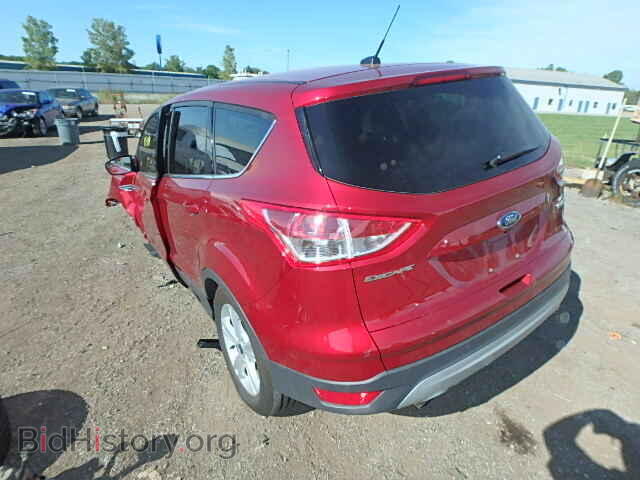 2014 FORD ESCAPE - VIN: 1FMCU0GX2EUE23274 - Фото 3