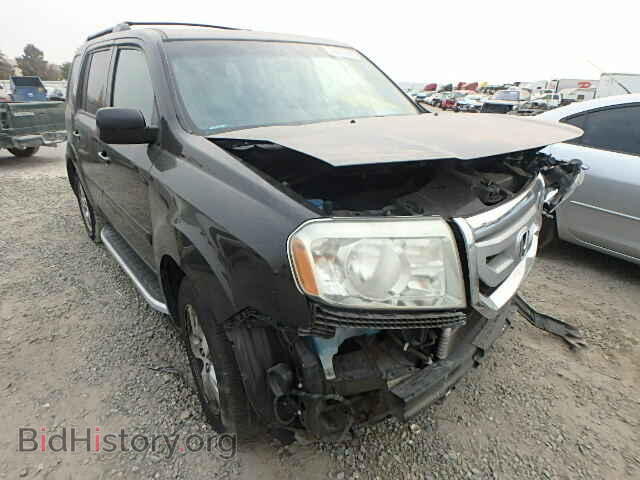 Фотография 5FNYF38499B000510 - HONDA PILOT 2009