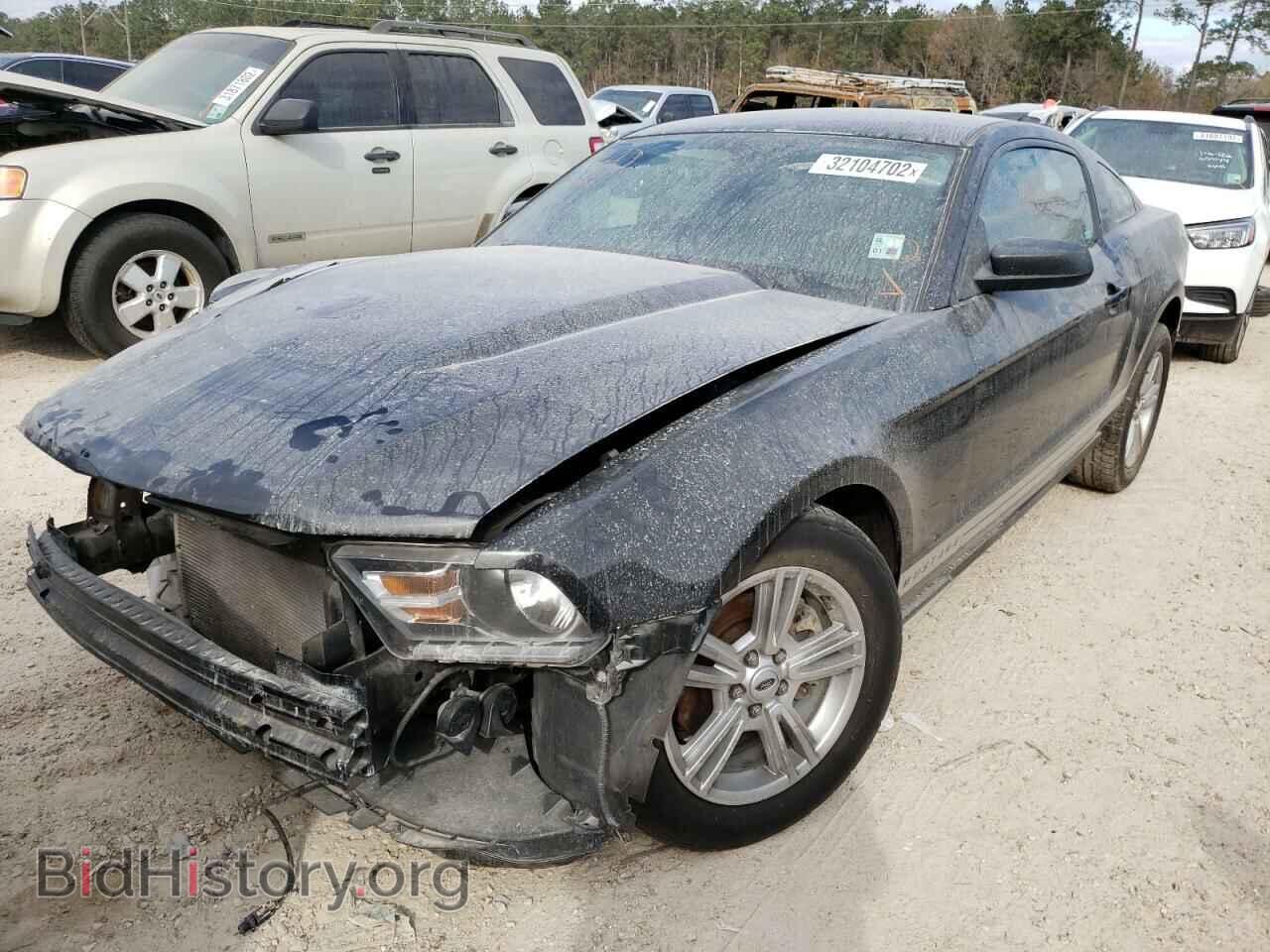 2011 FORD MUSTANG - VIN: 1ZVBP8AM3B5149770 - Фото 2