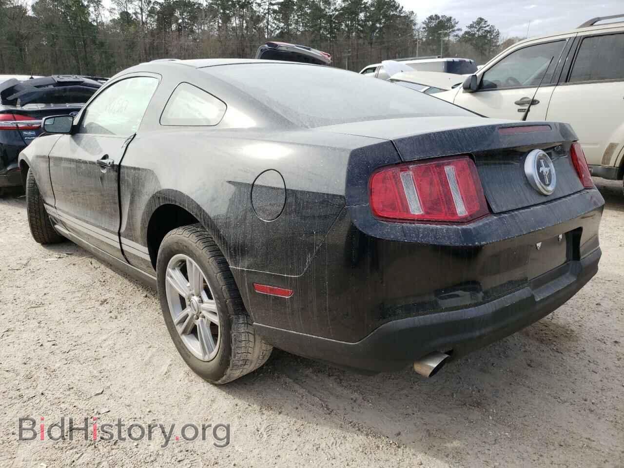2011 FORD MUSTANG - VIN: 1ZVBP8AM3B5149770 - Фото 3