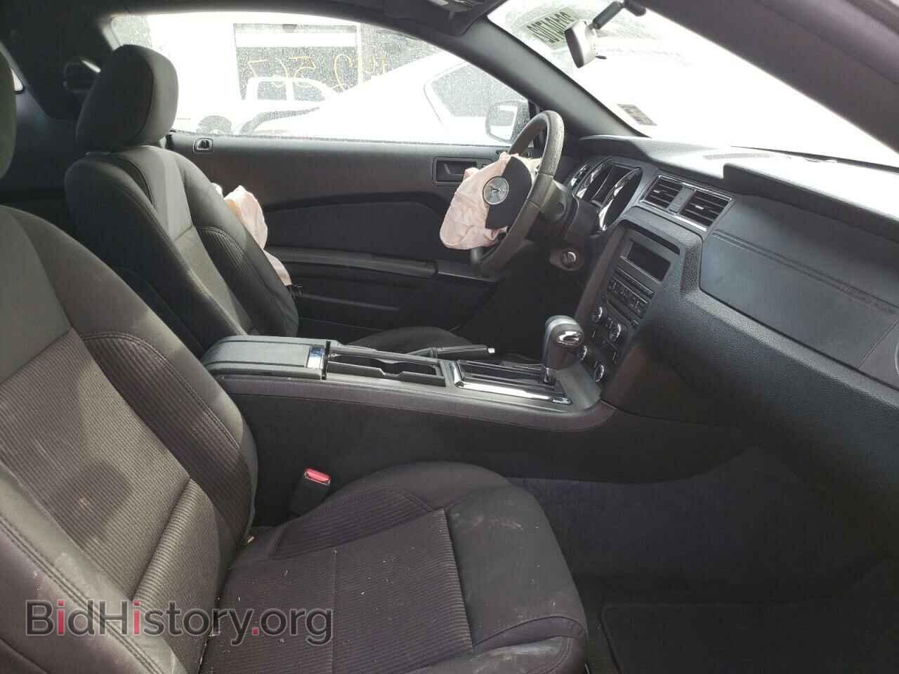 2011 FORD MUSTANG - VIN: 1ZVBP8AM3B5149770 - Фото 5