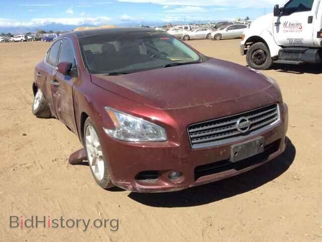 Photo 1N4AA5AP1AC831183 - NISSAN MAXIMA 2010