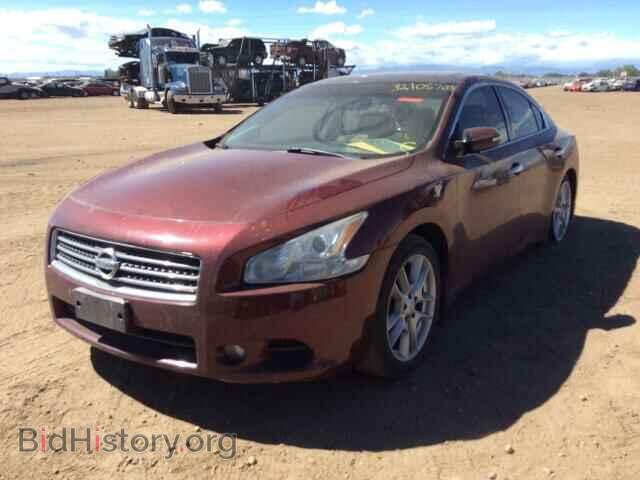 2010 NISSAN MAXIMA - VIN: 1N4AA5AP1AC831183 - Фото 2