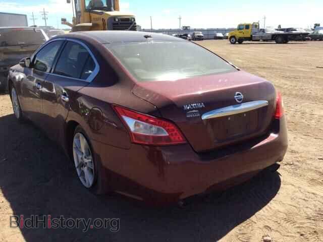 2010 NISSAN MAXIMA - VIN: 1N4AA5AP1AC831183 - Фото 3