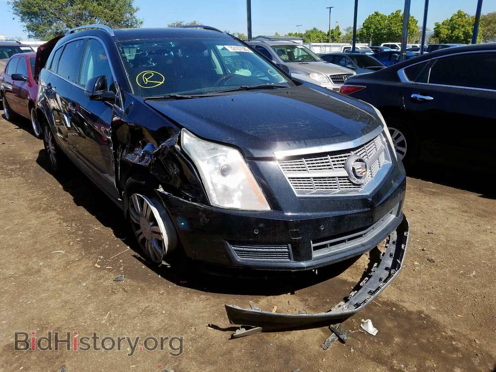 Photo 3GYFNAEY5BS620624 - CADILLAC SRX 2011