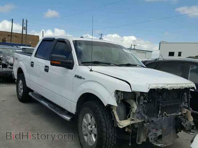 Фотография 1FTFW1EF5DFA66784 - FORD F150 2013