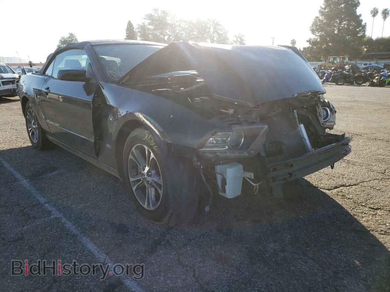 Photo 1ZVBP8EM9E5208433 - FORD MUSTANG 2014
