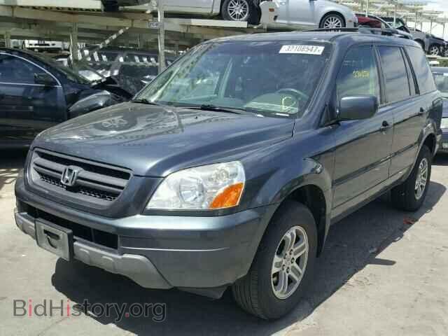 2005 HONDA PILOT - VIN: 5FNYF18495B049723 - Фото 2