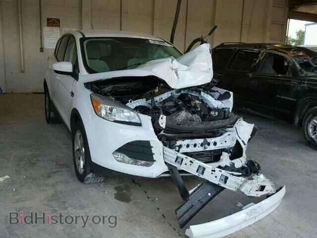 Photo 1FMCU0GX8DUC67188 - FORD ESCAPE 2013