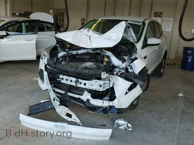 2013 FORD ESCAPE - VIN: 1FMCU0GX8DUC67188 - Фото 2