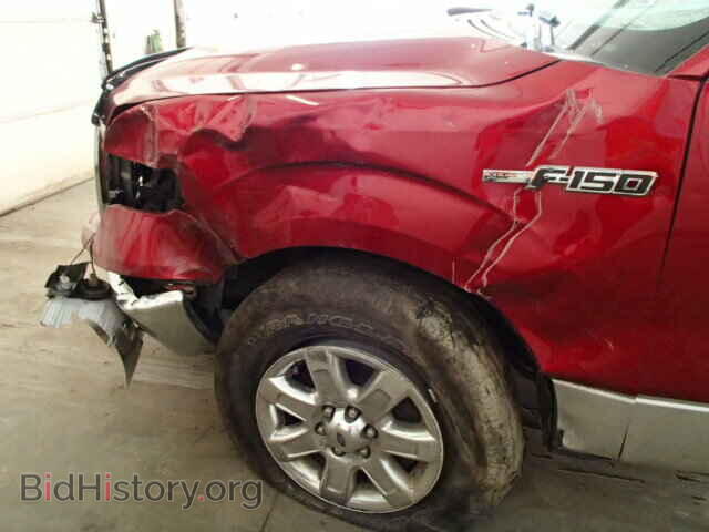 2013 FORD F150 - VIN: 1FTFW1EF1DFB43862 - Фото 10