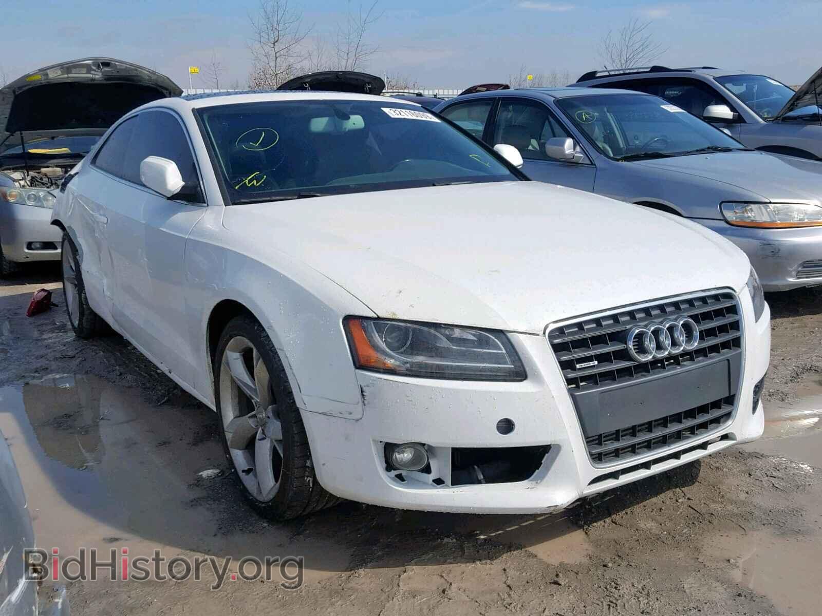 Photo WAULFAFRXBA005966 - AUDI A5 PREMIUM 2011